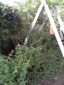 20130828_085539
